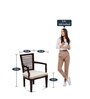 Aura Arm Chair (Set Of 2) In Brown & Silver Colour