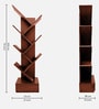Aura Book Shelf In Light Walnut Finish With Drawer