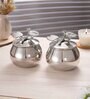 Aura Canisters -Silver(Pack Of 2)