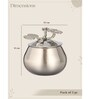 Aura Canisters -Silver(Pack Of 2)