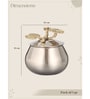 Aura Canisters Gold (1 Piece)