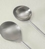 Aura Silver Stainless Steel (Set of 2) Serving Spoon