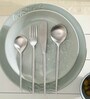 Aura Silver Stainless Steel (Set of 4) Cutlery Set