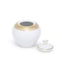Aura Tea Set Of 15 Pcs