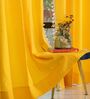 Aura Yellow solid Cotton Curtains for Window Pack of 1