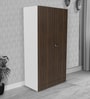 Godrej Interio Auraline Metal 2 Door Almirah in Walnut Brown Colour