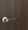 Auraline Basic 2 Door Almirah in Walnut Brown Colour