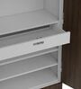 Auraline Basic 2 Door Almirah in Walnut Brown Colour