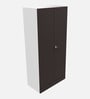 Auraline Steel Men 2 Door Almirah in Textured Coffee Brown Colour
