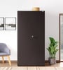 Auraline Steel Men 2 Door Almirah in Textured Coffee Brown Colour