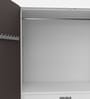 Auraline Steel Men 2 Door Almirah in Textured Coffee Brown Colour
