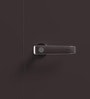 Auraline Steel Men 2 Door Almirah in Textured Coffee Brown Colour