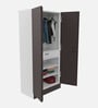 Auraline Steel Men 2 Door Almirah in Textured Coffee Brown Colour