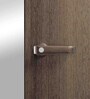 Auraline Steel Women Basic 2 Door Almirah in Walnut Colour
