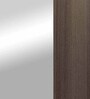 Auraline Steel Women Basic 2 Door Almirah in Walnut Colour