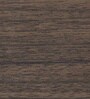 Auraline Steel Women Basic 2 Door Almirah in Walnut Colour