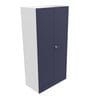 Auraline Metal 2 Door Almirah in Textured Navy Blue Colour