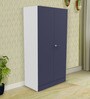 Auraline Metal 2 Door Almirah in Textured Navy Blue Colour