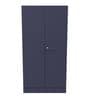 Auraline Metal 2 Door Almirah in Textured Navy Blue Colour