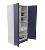 Auraline Metal 2 Door Almirah in Textured Navy Blue Colour