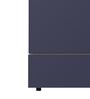 Auraline Metal 2 Door Almirah in Textured Navy Blue Colour