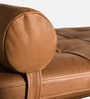 Aurelio Luxe Bench In Brown Colour