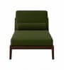 Aurelio Sheesham Wood Lounger In Green Color