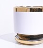 Aurelius White Ceramic Planter