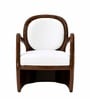 Aureo Solid Mahogany Wood Upholstered Accent Chair With Velvet Cushion In Espresso Brown and White Finish