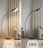 Aurora Arc Black LED Floor Lamp Tri-Color