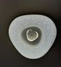 Aurora Crystal Halo Ceiling Light