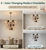 Aurora Halo Gold Glass Chandelier for Living & Dining