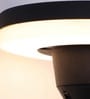 Aurora Sand Black LED Wall Sconce 12W Warm White Outdoor
