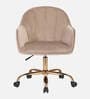 Aurora Velvet Guest Chair In Brown Colour