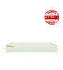 Dual Comfort Austin Queen Bed Mattress With Memory Foam 72 X 48 X 4 Inches
