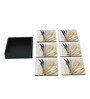 Autumn Cream MDF (Set of 6 ) Table Coasters