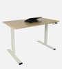 Avail Metal Writing Table in Dual Finish with Adjustable Height
