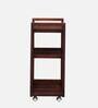 Avian Sheesham Wood Bar Trolley in Honey Oak Finish