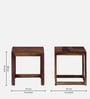 Avian Sheesham Wood Nest Of Tables In Scratch Resistant Rustic Teak Finish