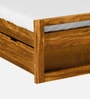 Avian Sheesham Wood Queen Size Bed In Scratch Resistant Rustic Teak Finish