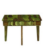 Avilys Sheesham Wood Nesting Coffee Table Set in Spring Green Finish With Stools