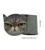AVMART Grey Cat Storage Box