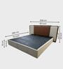 Avo Upholstered Queen Size Bed In Honey Gold Finish In Honey Gold Finish With Hydraulic Storage