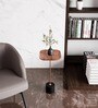 Avocado Iris Sheesham Wood End Table in Gold and Black Finish
