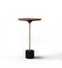 Avocado Iris Sheesham Wood End Table in Gold and Black Finish