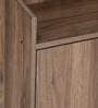 Aze Shoe Cabinet in Walnut Finish