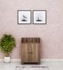 Aze Shoe Cabinet in Walnut Finish