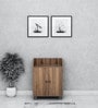Aze Shoe Cabinet in Walnut Finish