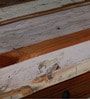 Azealia Reclaimed Wood TV Console In Distress Finish For TVs Up To 55"