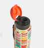 Aztec Cats Sipper